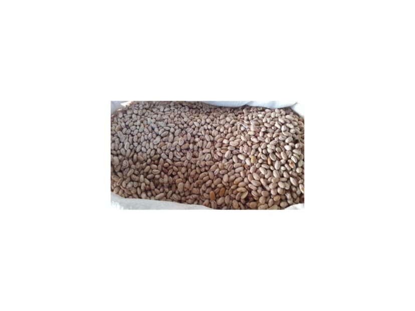 Bulk - Sugar Beans