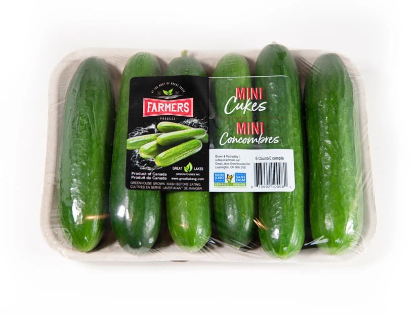 Cucumber - Big Pack