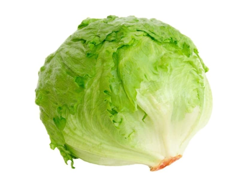 Lettuce - Head