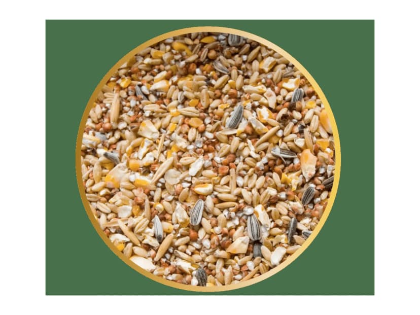 Mixed grain - 2kg