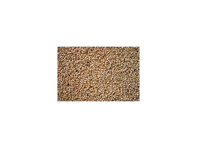 Sorghum - 1kg