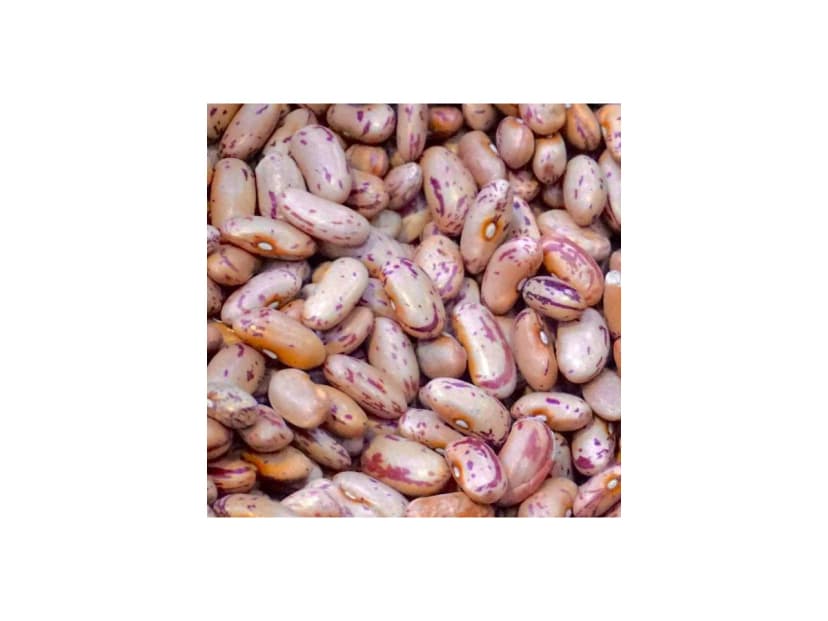 Sugar Beans - kg